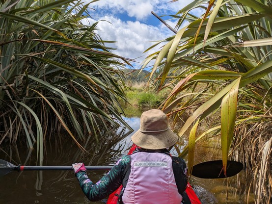 The little river leading to Lake Otuhie was pretty overgrown and potentially damaging to our 20-year marriage.