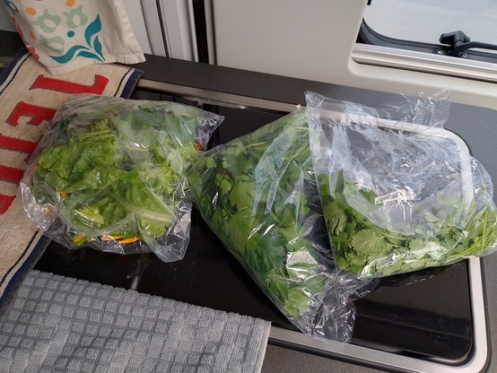 Bags of fresh-picked spring salad, coriander and parsley from Thymebank.