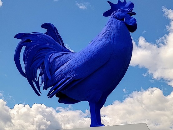 Big blue rooster sculpture.