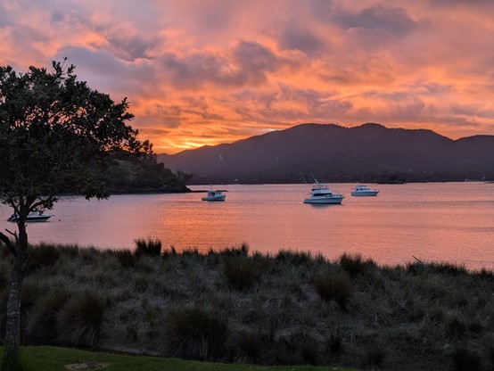 Sunrise from the tent