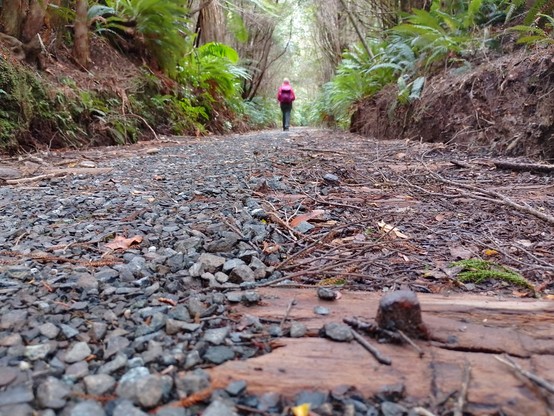 10km of walking the line