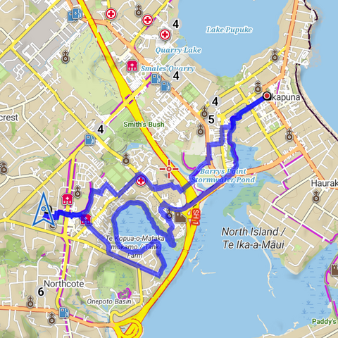 Route from Northcote to Takapuna and back. Mostly avoiding roads.