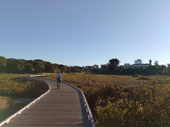 Walkway in Patuone Reserve.