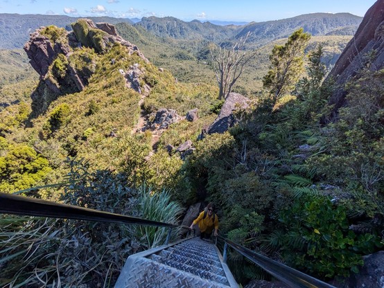 Ally ascending one of the ladders near the top of the Pinnacles