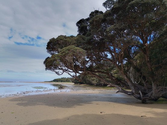 View from Papatowai down the tidal river and out to sea.