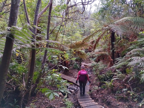 Lots of boardwalks over eroded sections of the track.