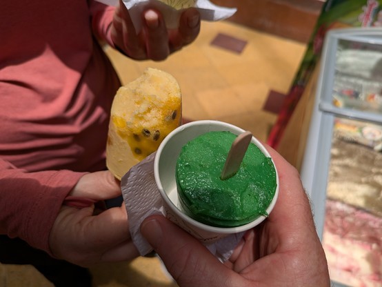 Handmade passionfruit and mango ice cream (left) and my personal favourite, sweetened avocado ice cream (right).