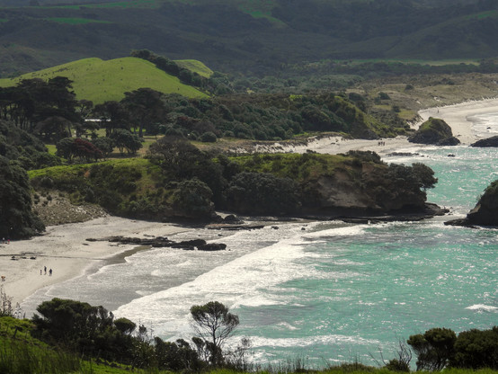 View of the beach and campground from part of the Ecology Trail