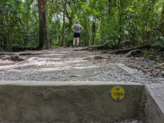 1359 steps to the summit (plus a few for the tower at the end). We've lost a lot of our walking fitness in the last couple of months!