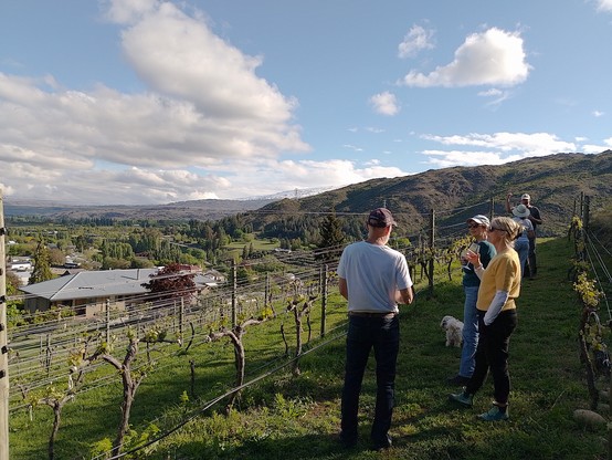 Perusing the vines at Robyn and Paul's place.