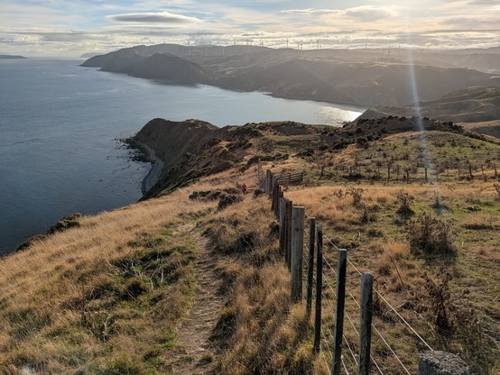 View looking north toward Mana Island. Note the wind turbines on the hills.