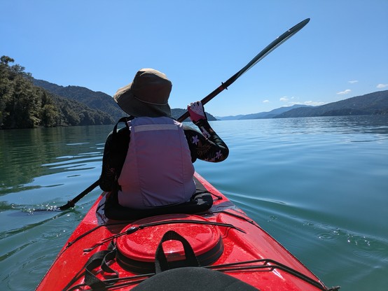 Glassy water near Anakiwa this morning.