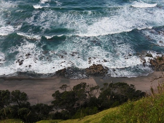 Looking down on the beach from the cliff tops at Mangawhai Heads. There is a solitary person walking along the beach.