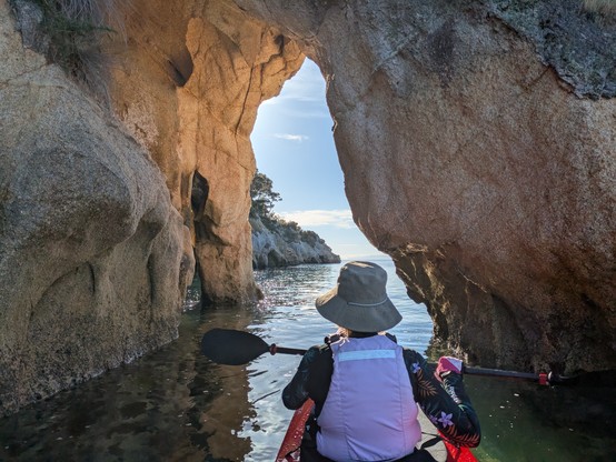 A nice little archway south of Kaiteriteri