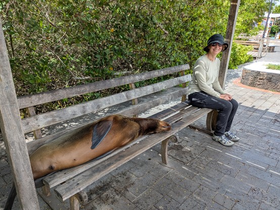 Sally sharing a seat with a sealion.