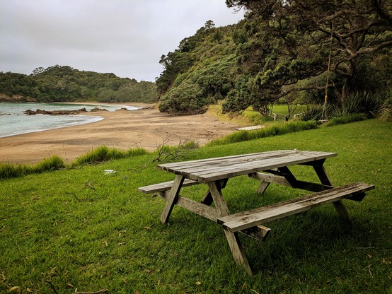 A picnic table in Tauwhara Bay a short walk from the DOC camp in Otamure Bay