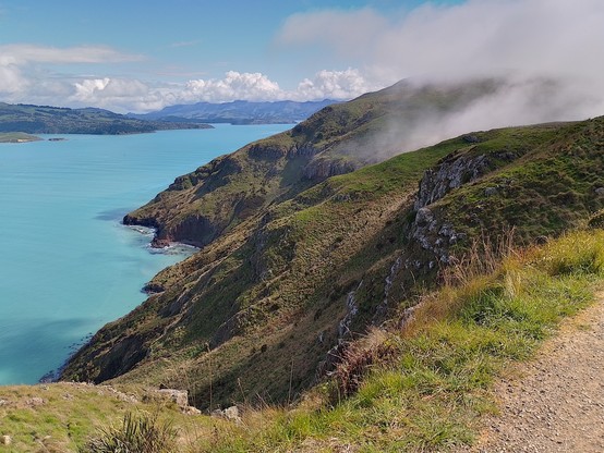View from Godley Head looking south west back into Lyttleton Harbour.