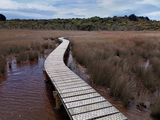 The boardwalk at Tautuku Estuary