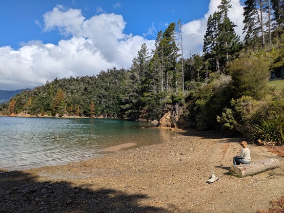 Beach at the end of the Piwakawaka walk near Elaine Bay