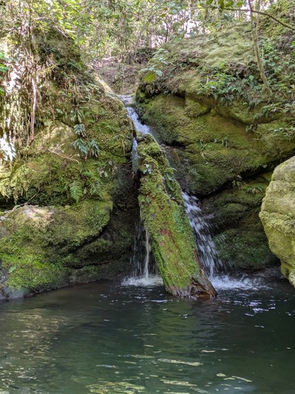 Waterfalls on one of the bush walks in the Pelorus Bridge scenic reserve