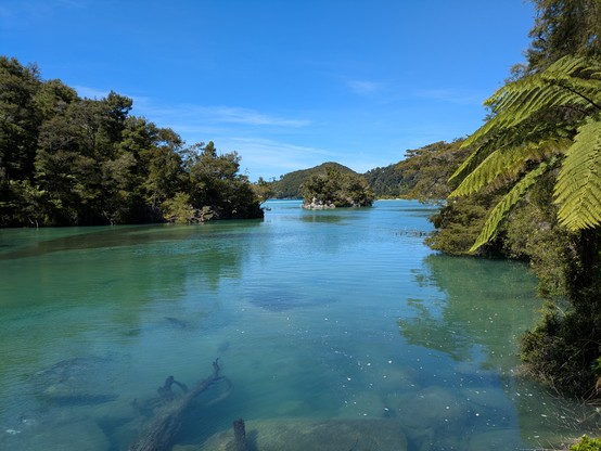 High tide at Bark Bay means Abel Tasman walkers have to go the long way around if they don't want to swim. We walked around and then swam back. This is looking from the track back toward where the campground is and, beyond that, the sea.