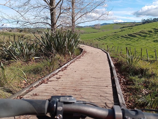 A wooden walkway section of the path between Matakana and Omaha.