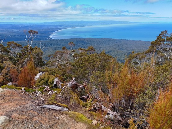 View from Stag Point toward Tuatapere.
