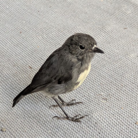 The cutest guy in the world