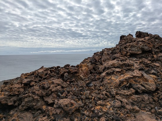 The moonscape of Isla Bartolomé. Can you see the lava lizard?