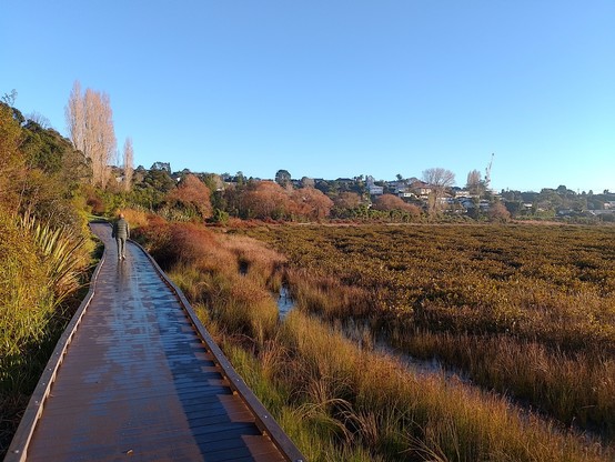 Walkway around Tuff Crater.