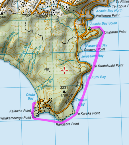 Route from Acacia Bay to the carvings and back. 10km