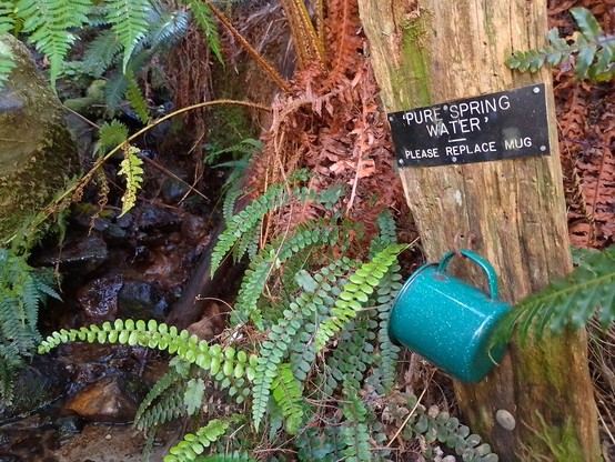 A cup for drinking from the natural spring part way along the track.