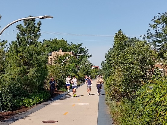 Bloomingdale Trail (606) in Chicago
