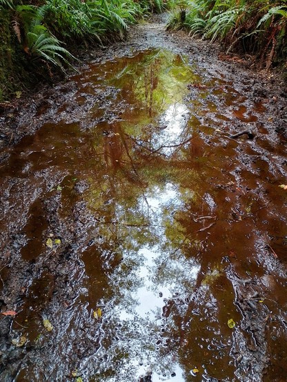 Large sections of the railway were muddy. Not too deep. The new boots have proved their worth. Dry socks at the end of each day.