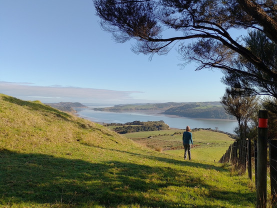 Views over the Kaipara Harbour along the Oruawharo River Trail.
