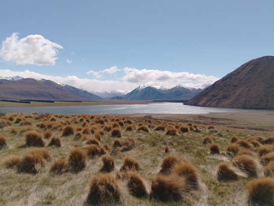 Lake Heron with a view out to the foothills of the Southern Alps. Lots of weather hiding over those hills.