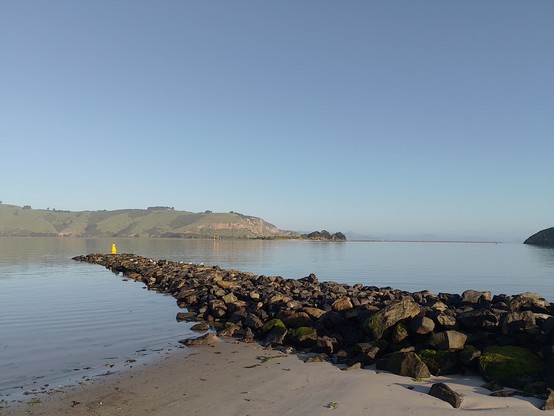 A still morning today at the mouth of the harbour. There was a fur seal on this groin yesterday. Freaked me out as I didn't see it until I was almost on top of it.