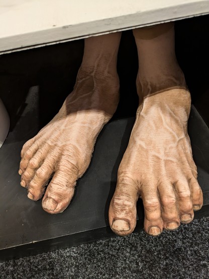 Hobbit Feet